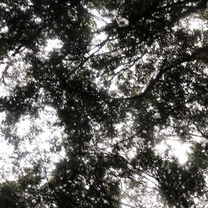 Meet your Posher, Magaly